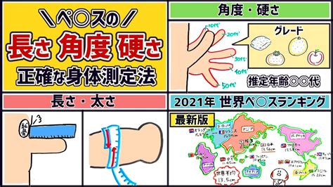 勃起長さ平均|普通のちんことは？平均の長さから皮の状態まで専門。